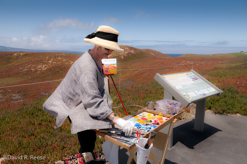 Pajaro Valley Arts Council - www.pvarts.org