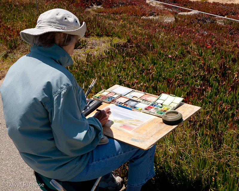 Pajaro Valley Arts Council - www.pvarts.org